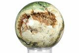 Gary Green Jasper (Larsonite) Bog Wood Sphere - Oregon #369046-1